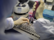 Het aantal gevallen van besmetting met het coronavirus in de VS schiet omhoog, nu het land meer test. Meer testen helpt wel om het virus te beteugelen.