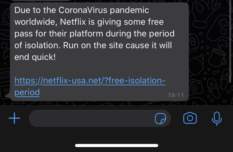 Netflix pandemic scam