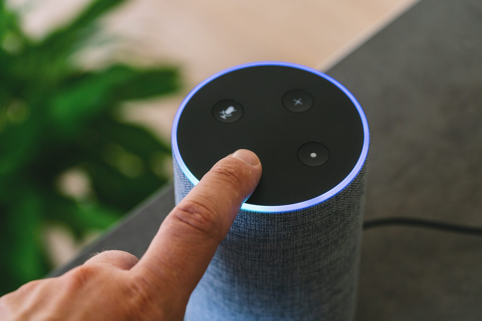 how to factory reset your alexa