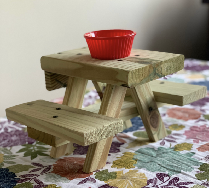 Picnic Tables For Squirrels / This Picnic Table Squirrel Feeder Lets Your Backyard ... : This picnic table squirrel feeder easily attaches to wooden surfaces with two screws to hold it in place.