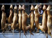 In het Chinese Yulin werd elk jaar in juni het hondenvleesfestival gehouden.