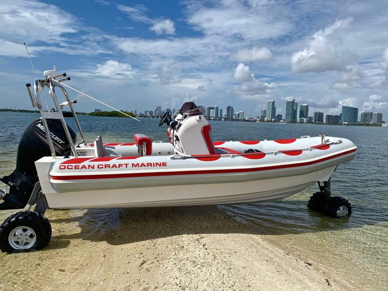 These 4-by-4 'amphibious' boats can also drive on land and go where