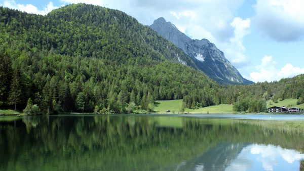 Foto: Tobias Markmeyer / Unsplash Foto: Tobias Markmeyer / Unsplash
