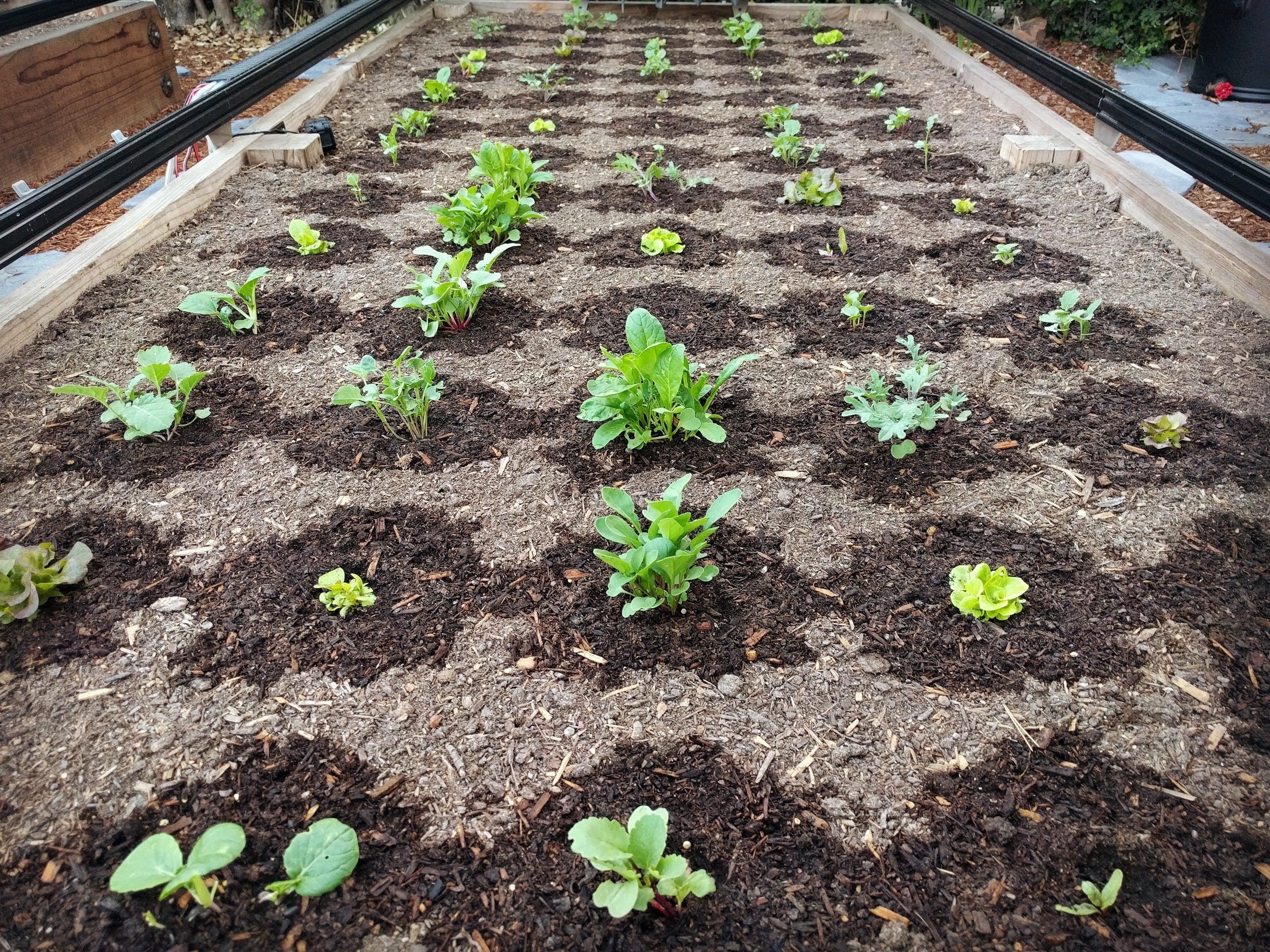 Een robot die tuinwerk voor je doet. Of beter gezegd: een bak onderhoudt als onderdeel van een moestuin. Het kan met de applicatie van het Amerikaanse bedrijf Farmbot.