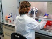 Het veelbelovende vaccin blijkt na te zijn getest op 500 Britse vrijwilligers mogelijk "dubbele bescherming" te bieden tegen het coronavirus