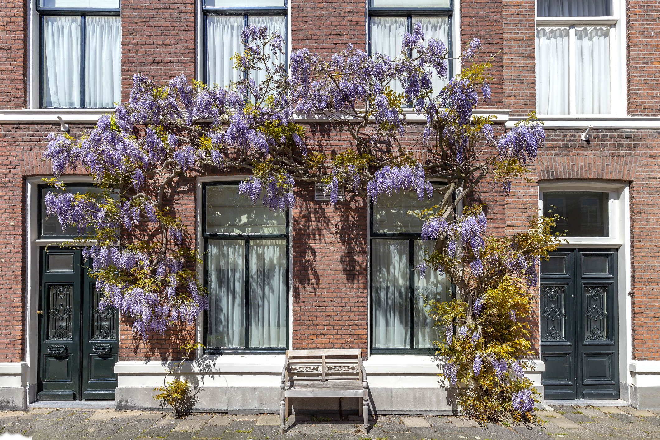 vastgoed-meerdervoort-randstad