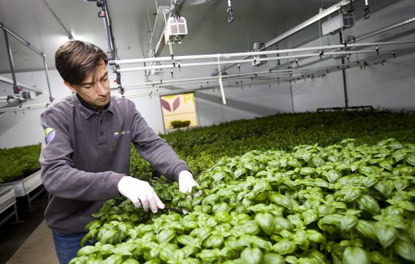 Foto: PlantLab Foto: PlantLab