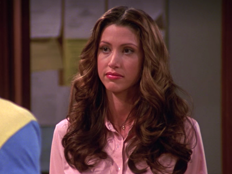 Shannon Elizabeth had a recurring role as librarian Brooke. 