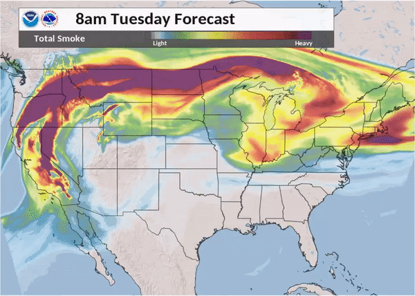nws gif smoke