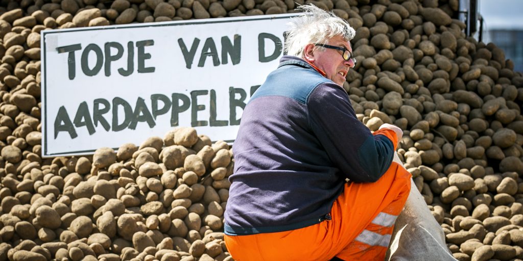 Aardappel overschot in Amsterdam