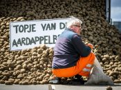 Aardappel overschot in Amsterdam