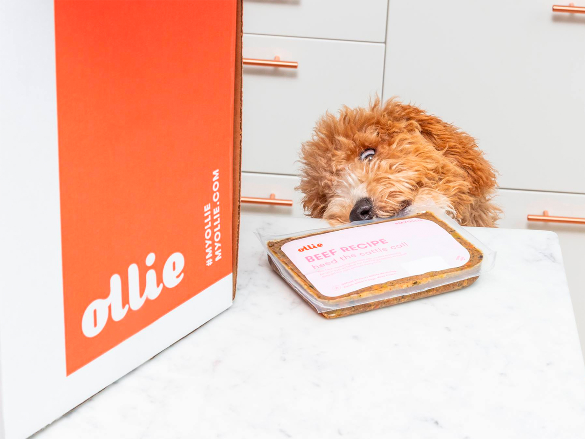 Cancel ollie dog food best sale