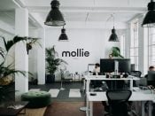 Het kantoor van Mollie