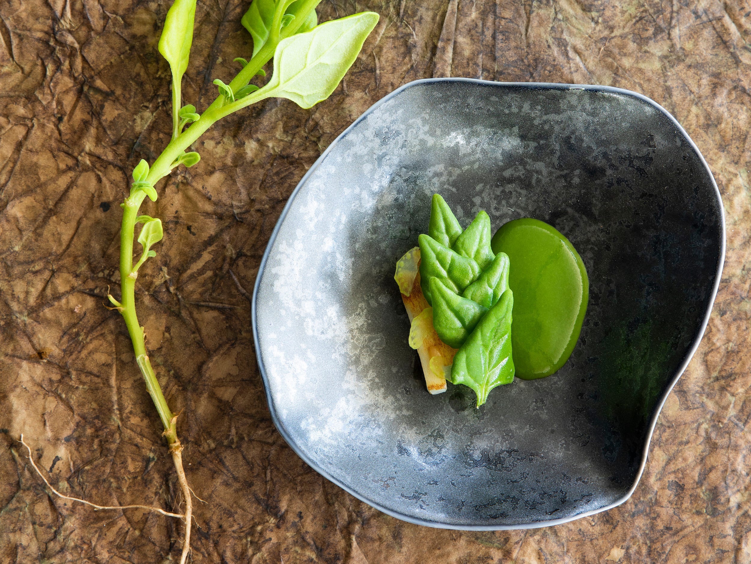 This beautifully presented squid dish is on Mirazur's leaf day menu. (credit Matteo Carassale)