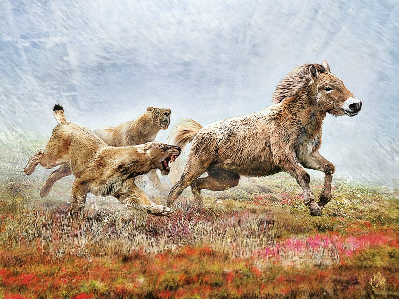 New Analysis Of A Saber-toothed Cat Fossil Reveals The Ancient Animals ...