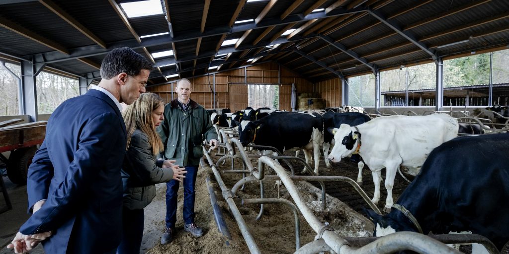 Premier Mark Rutte en minister Carola Schouten van Landbouw, Natuur en Voedselkwaliteit eind januari 2020 tijdens een bezoek aan een melkveebedrijf in de Gelderse gemeente Leuvenum.