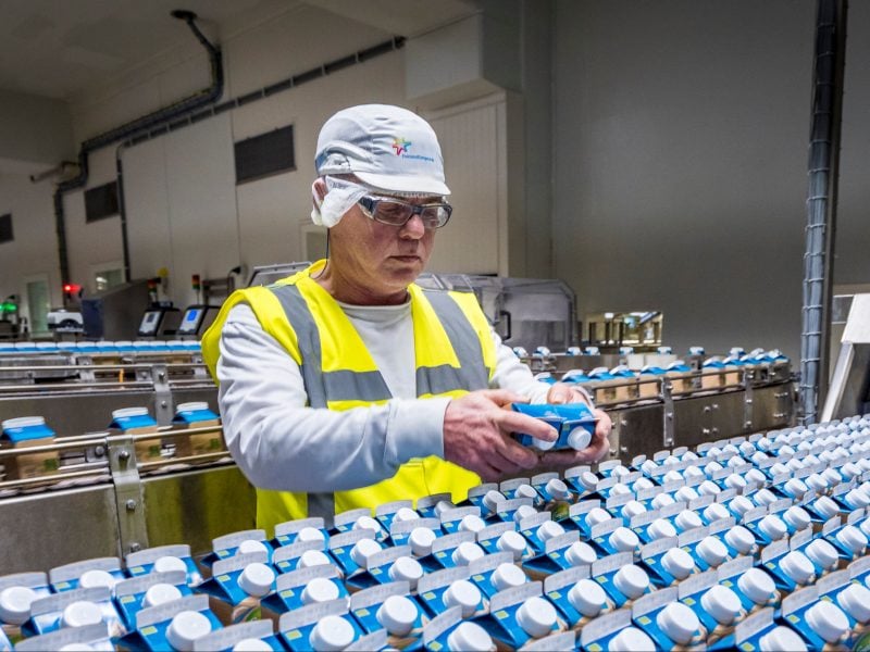 Productielijn in een vestiging van zuivelconcern FrieslandCampina.