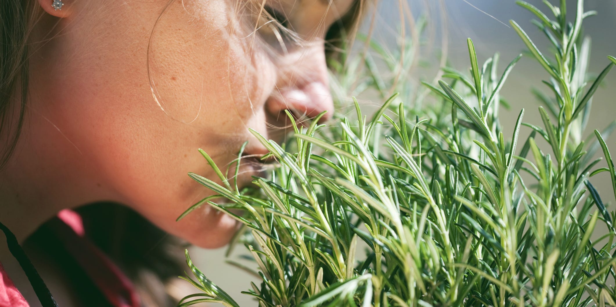 Глотки воздуха нормально дышим живая травинка человек. Запах травы. Человек с травкой. Розмарин. Трава которая пахнет.