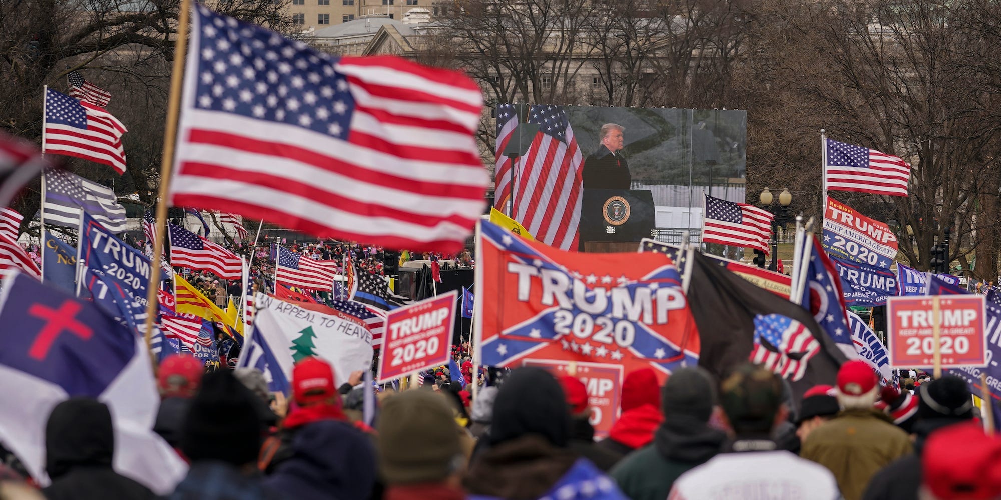 Capitol protest