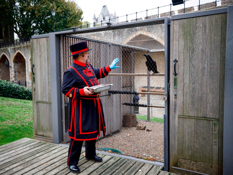 St Vincent being guarded by ravens, According to legend, af…