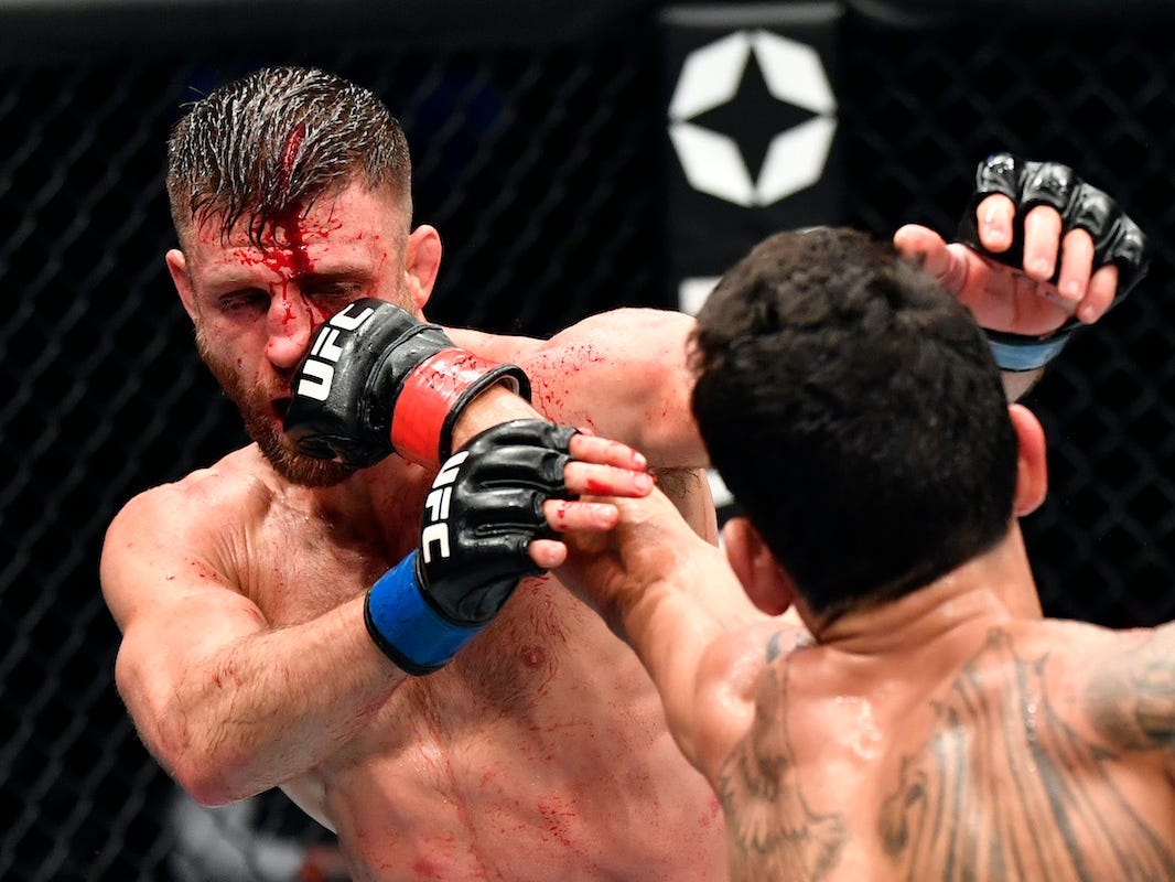 Calvin Kattar beaten UFC