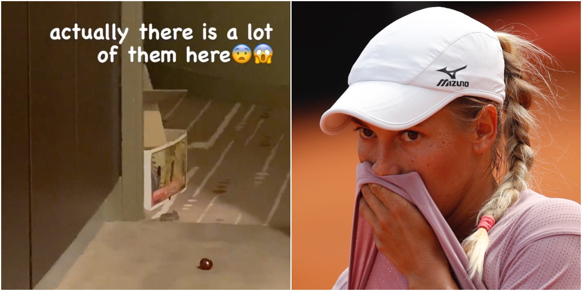 Putintseva