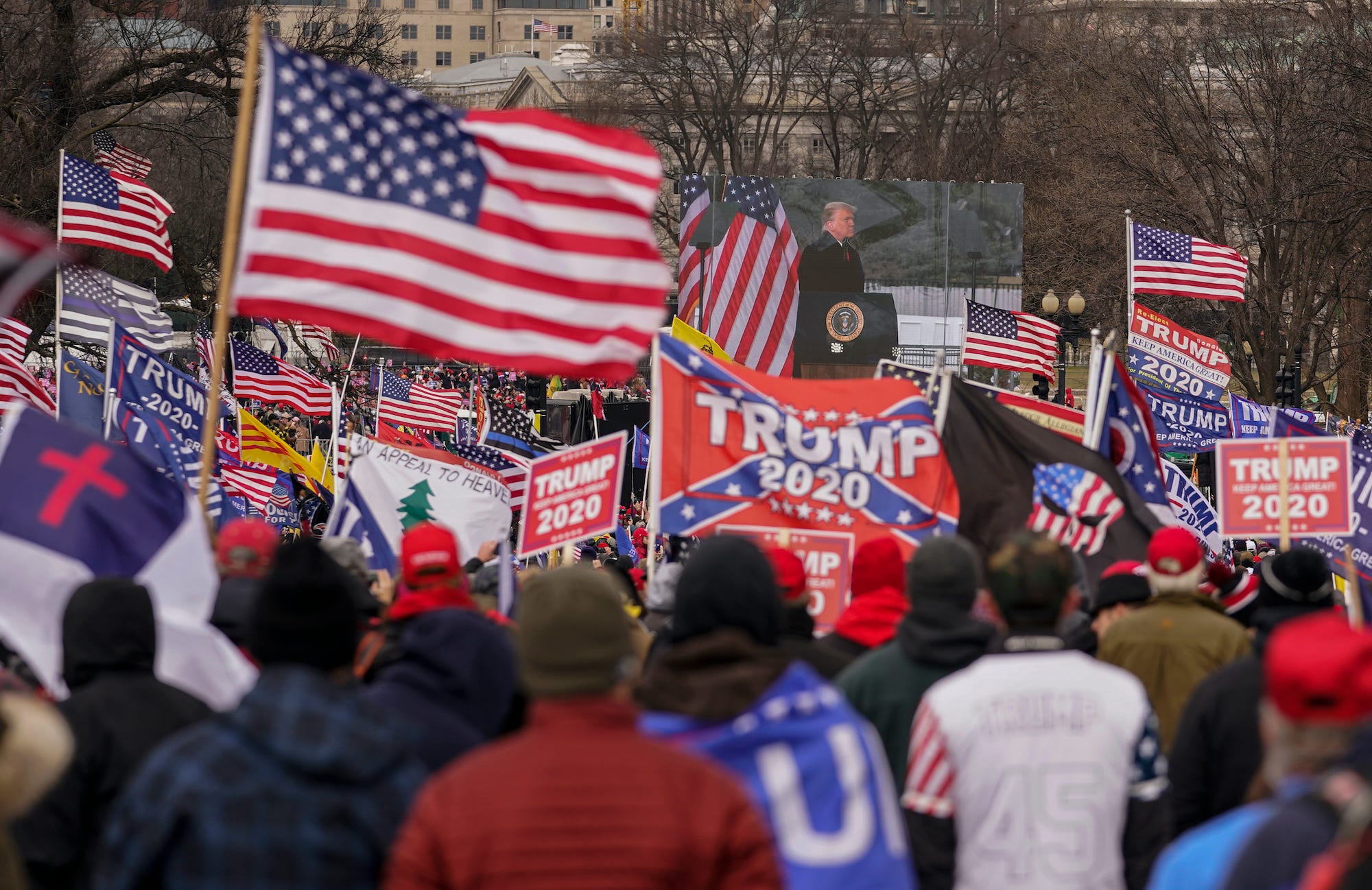 Capitol protest