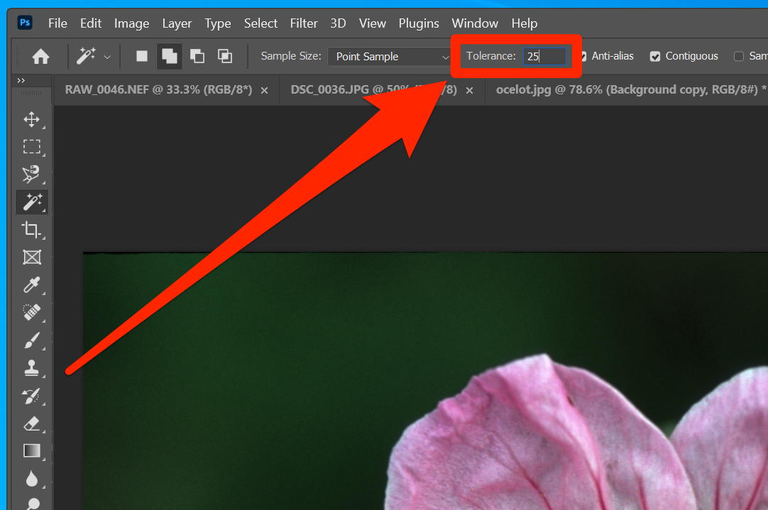 How to use the magic wand tool in Photoshop 3