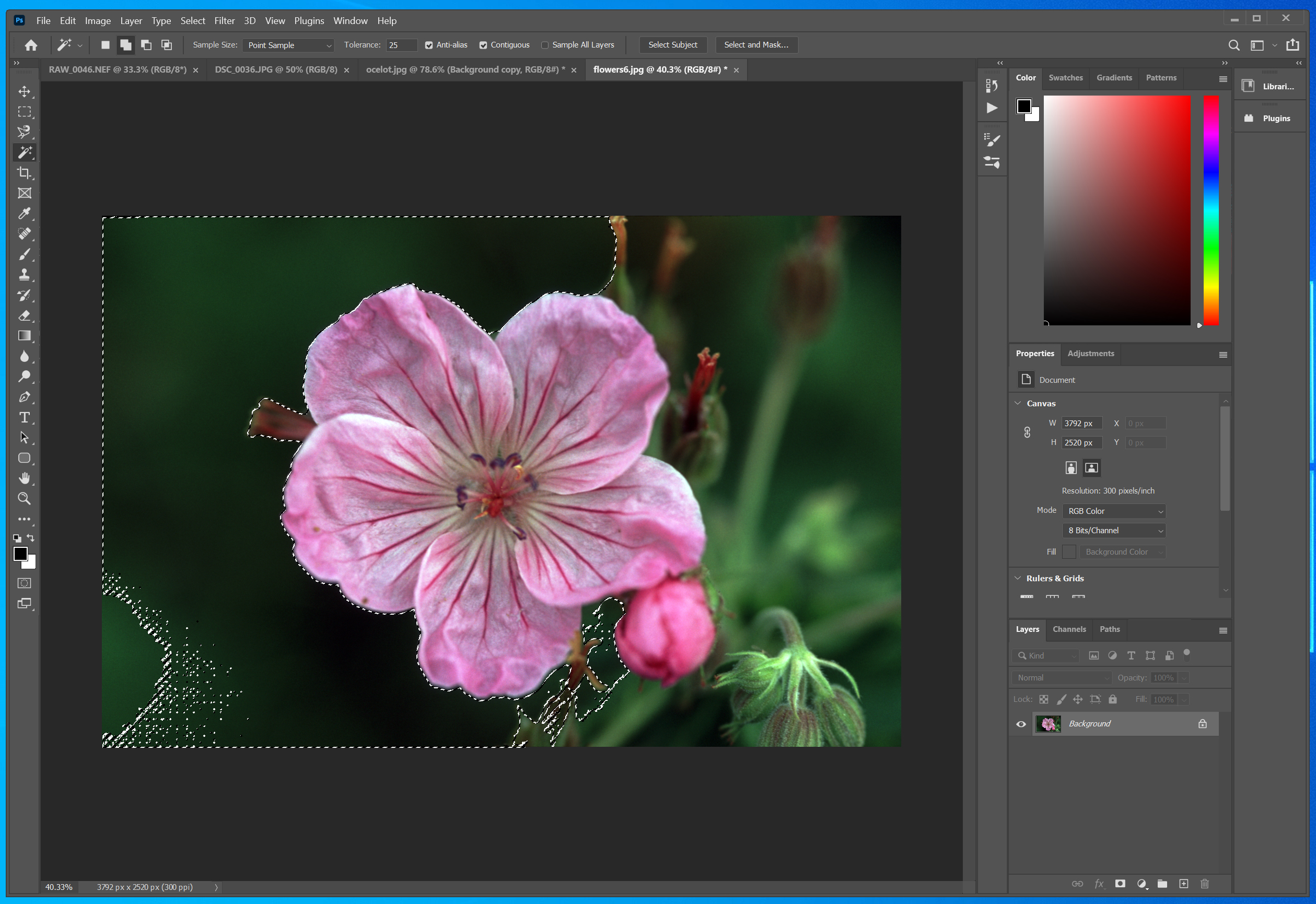 How to use the magic wand tool in Photoshop 4