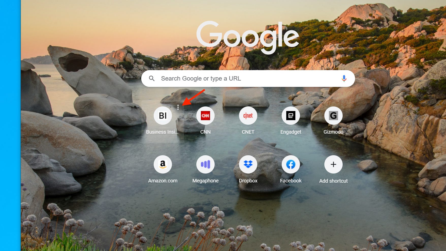 How to organize tabs in Chrome 6