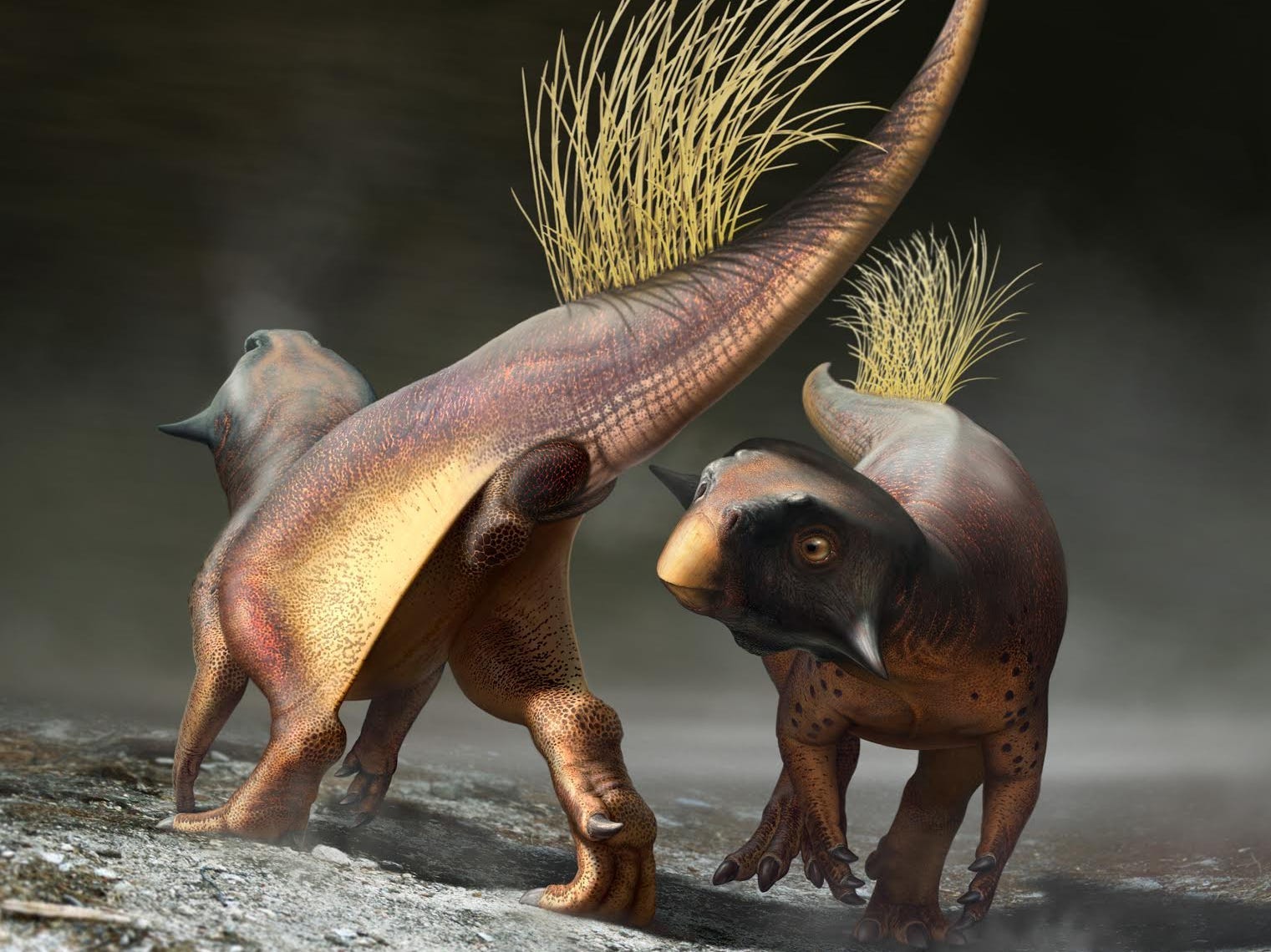 Scientists discover how dinosaurs peed, pooped, and had sex, using an  all-purpose orifice