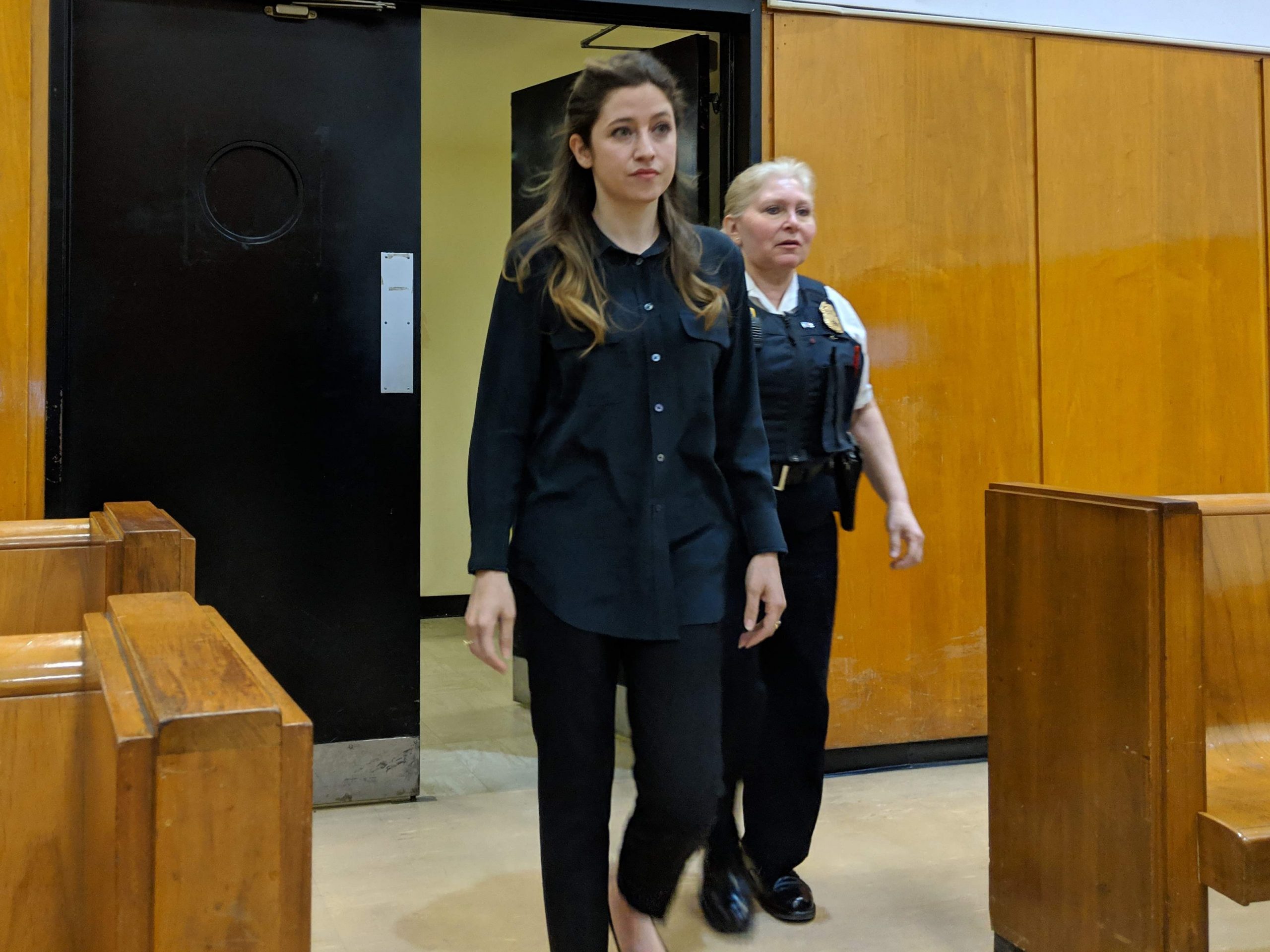 rachel williams anna sorokin delvey