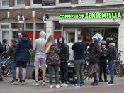 coffeeshop-amsterdam-toerisme