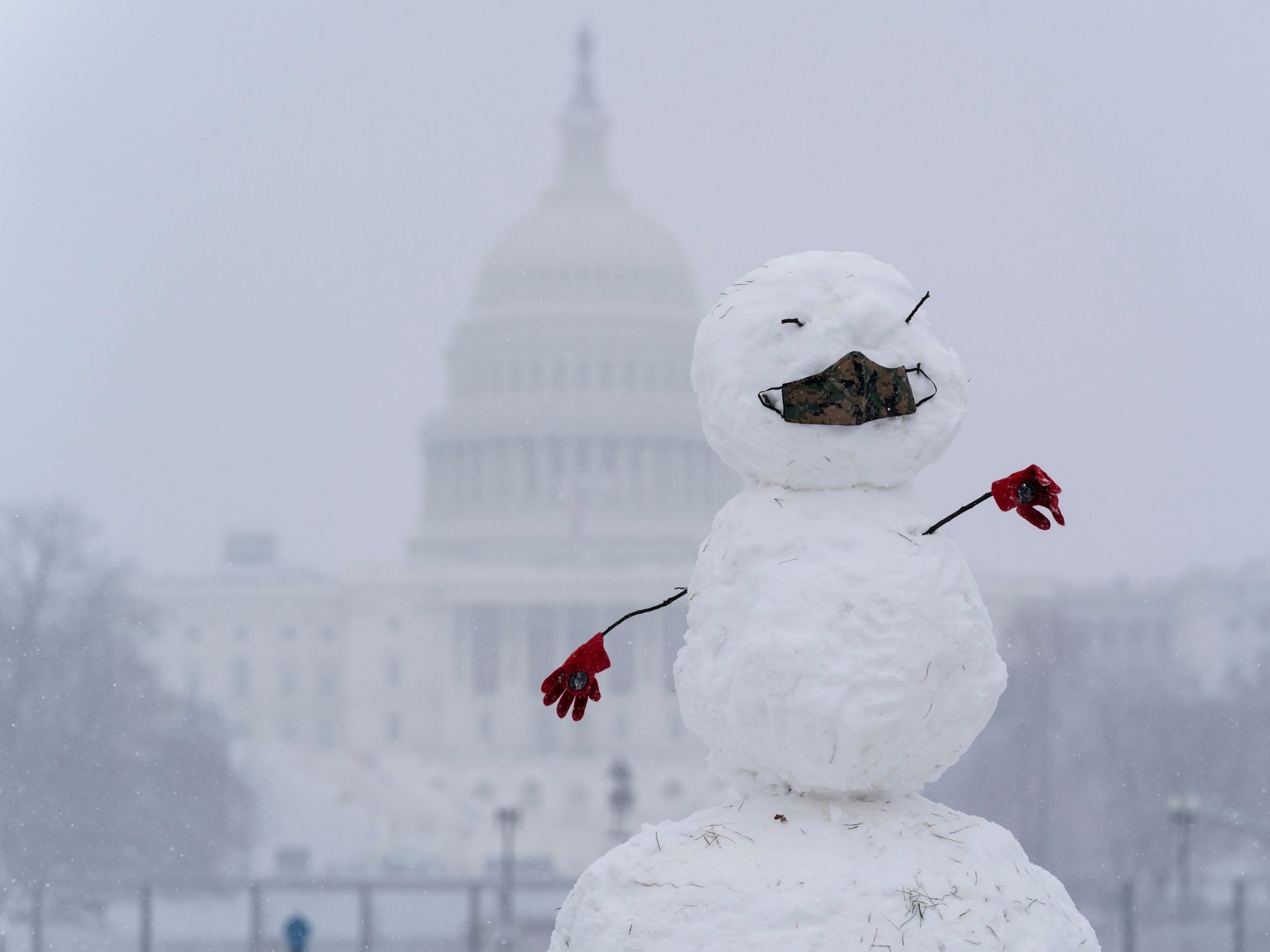 snowman washingtondc jan31