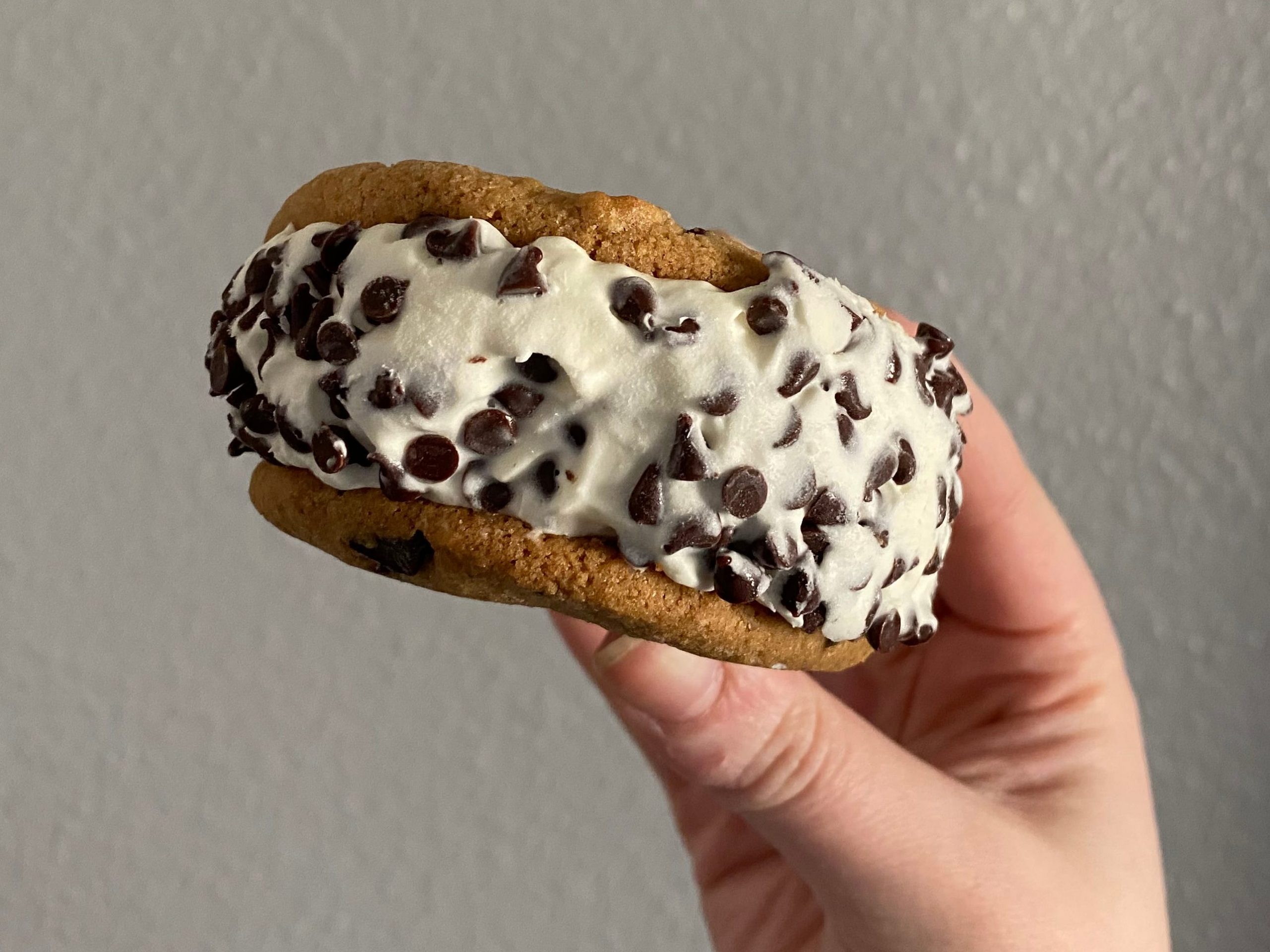 Ice Cream Sandwich 2