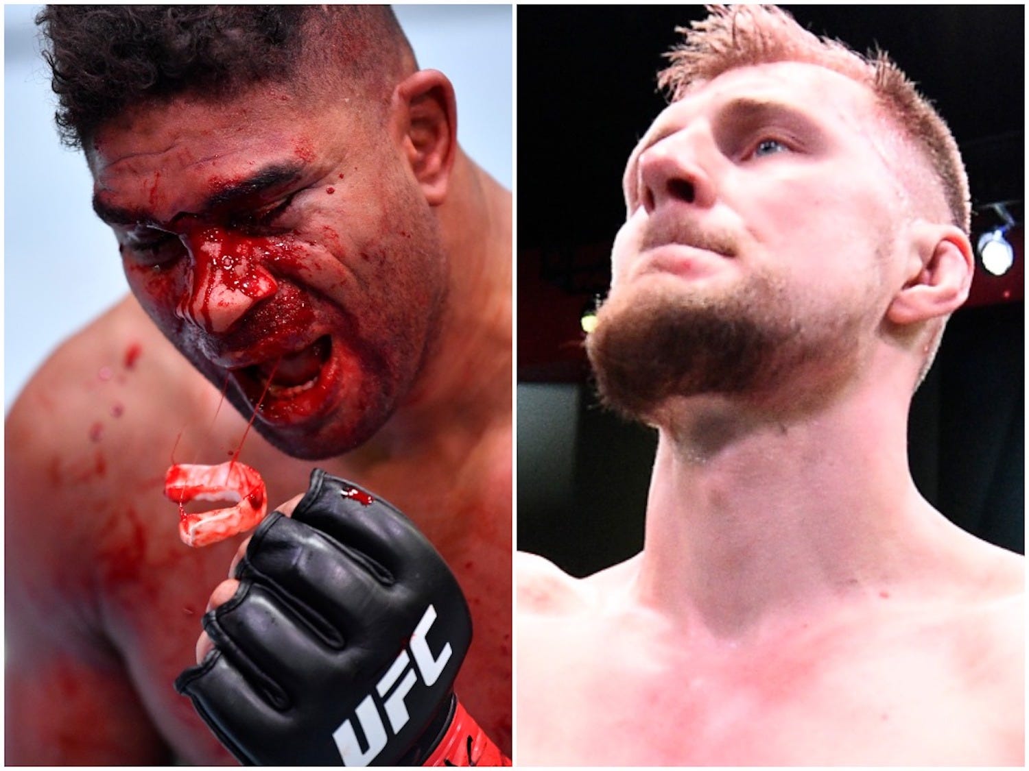 Alistair Overeem and Alexander Volkov