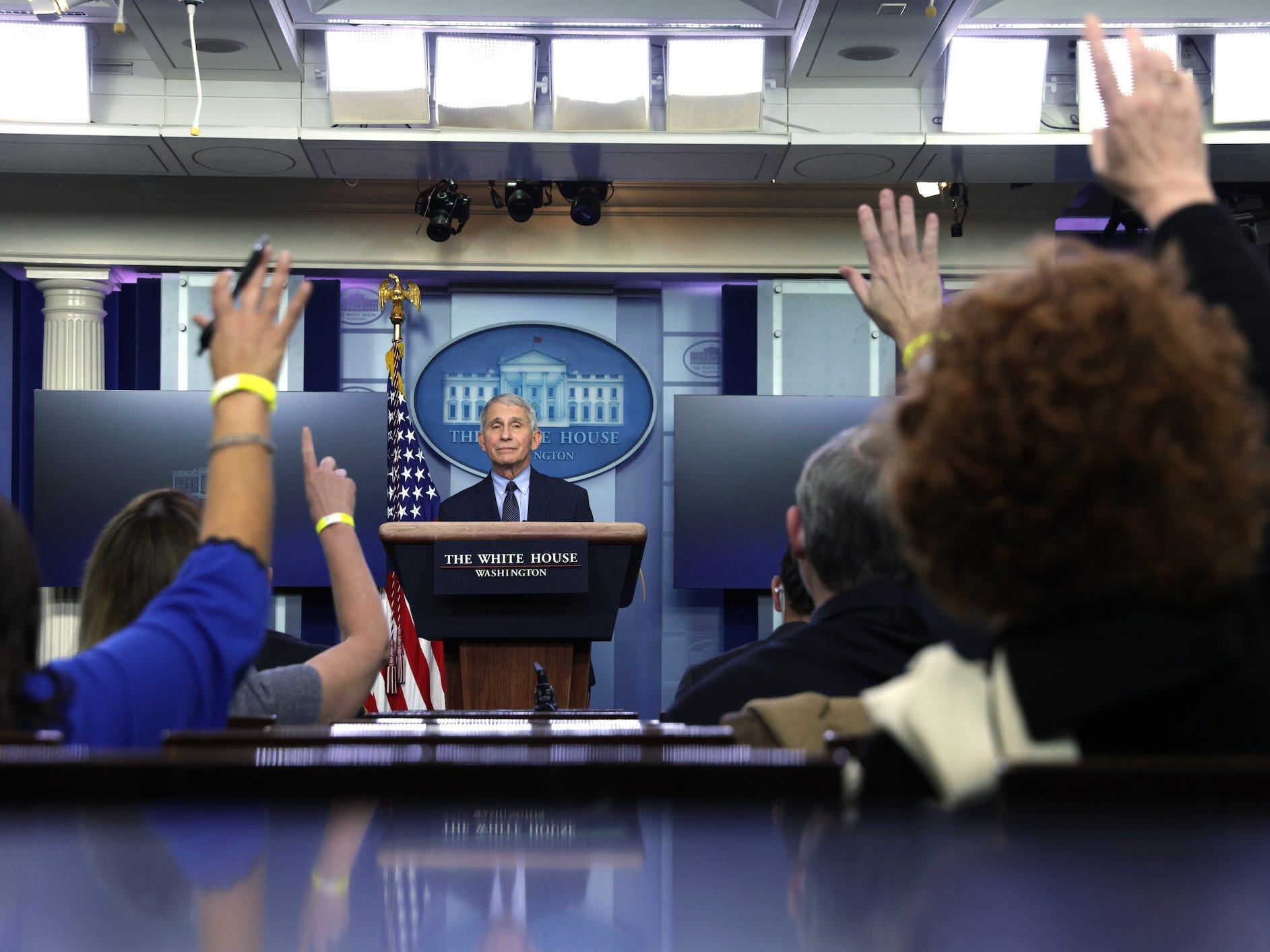 fauci questions
