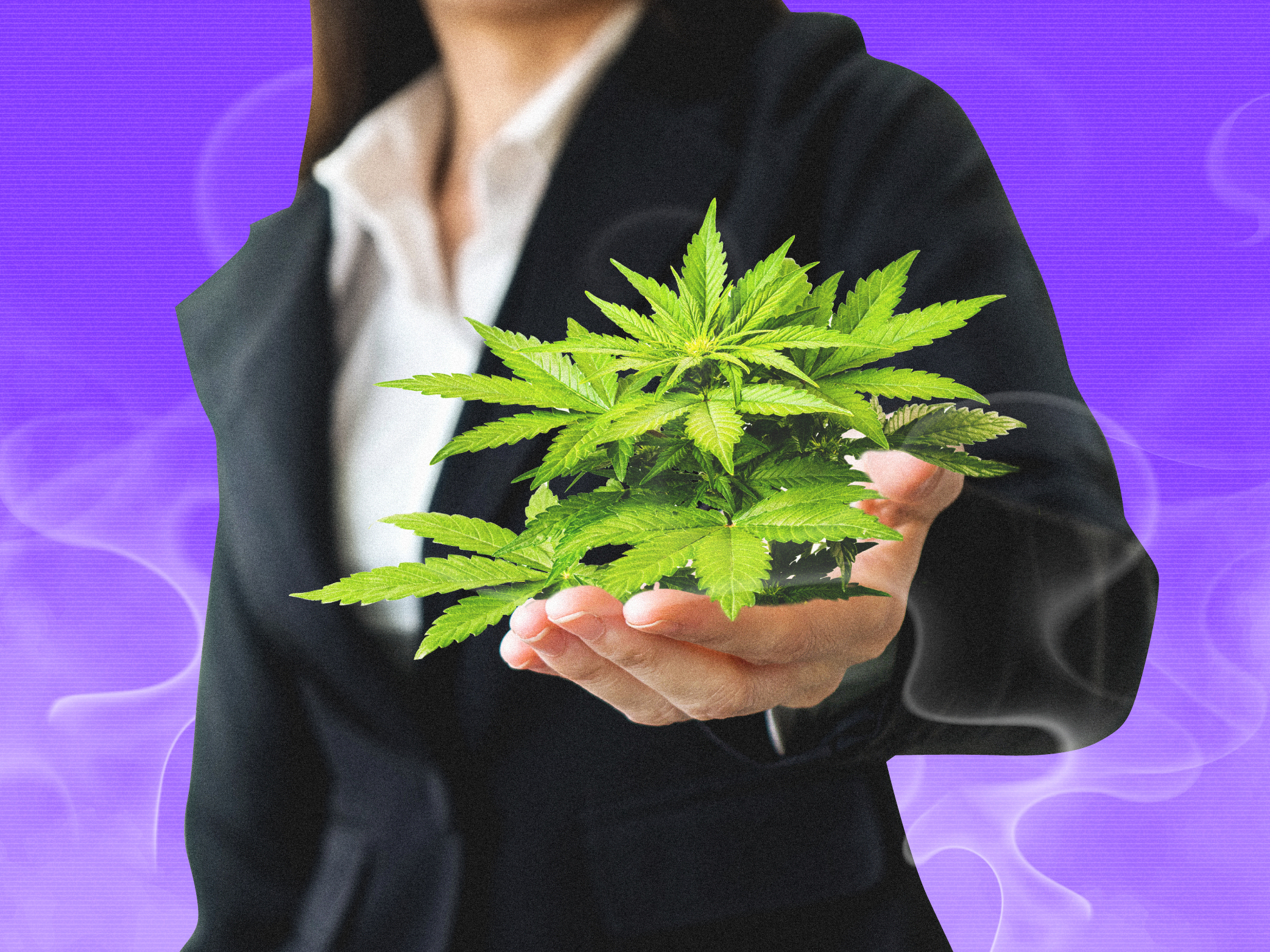 marijuana cannabis industry business v1 4x3