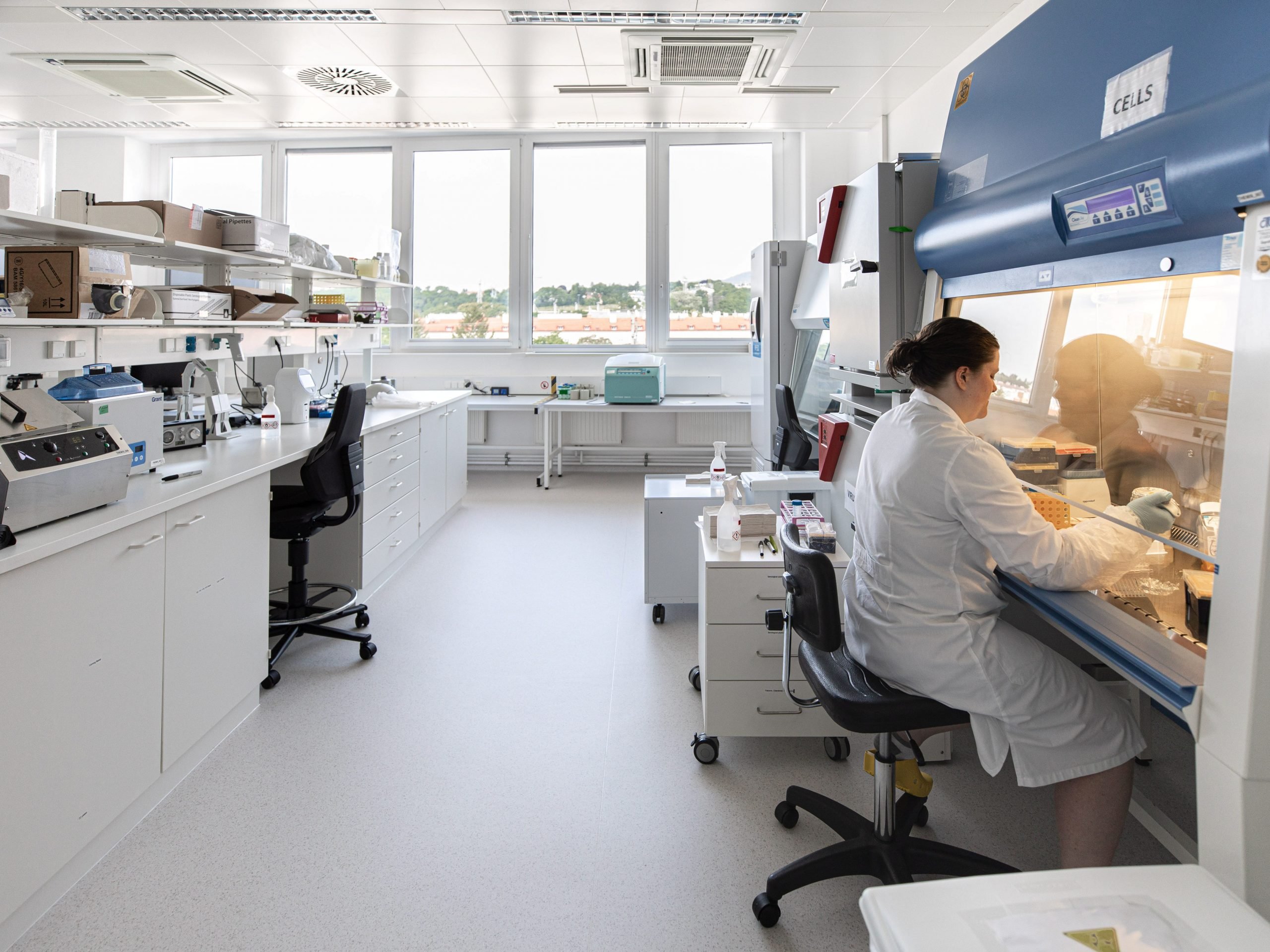 FILE PHOTO: A scientist is seen in the Themis Bioscience laboratory in Vienna, Austria, in this undated handout photo. Themis Bioscience/Martin Wacht/Handout via REUTERS  