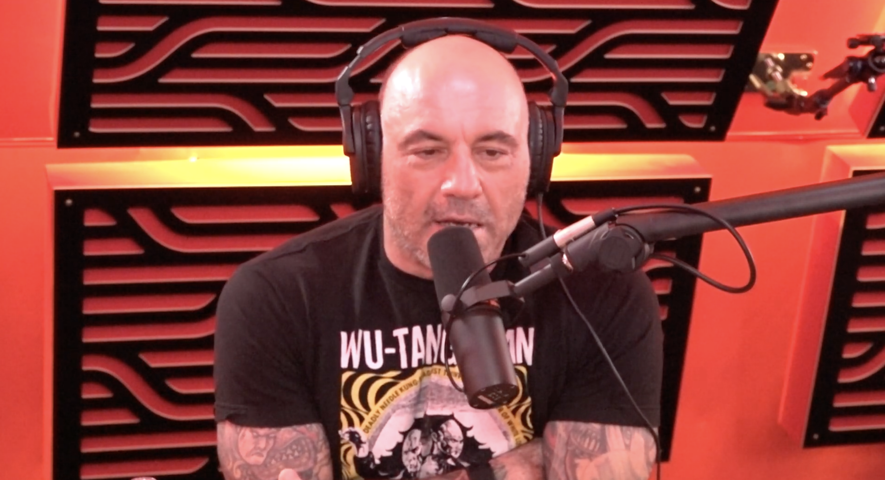 joe rogan experience