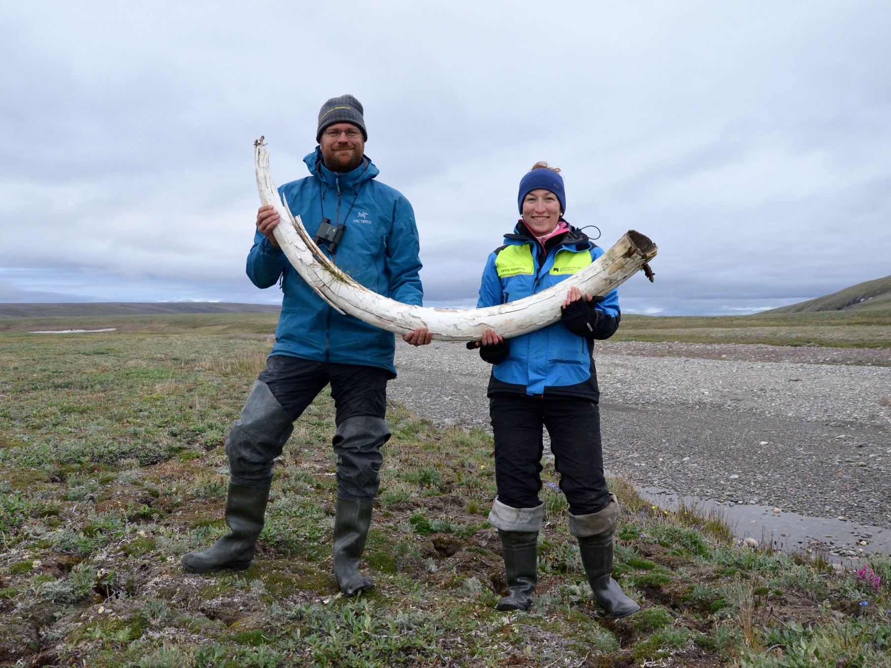 wooly mammoths siberia dna