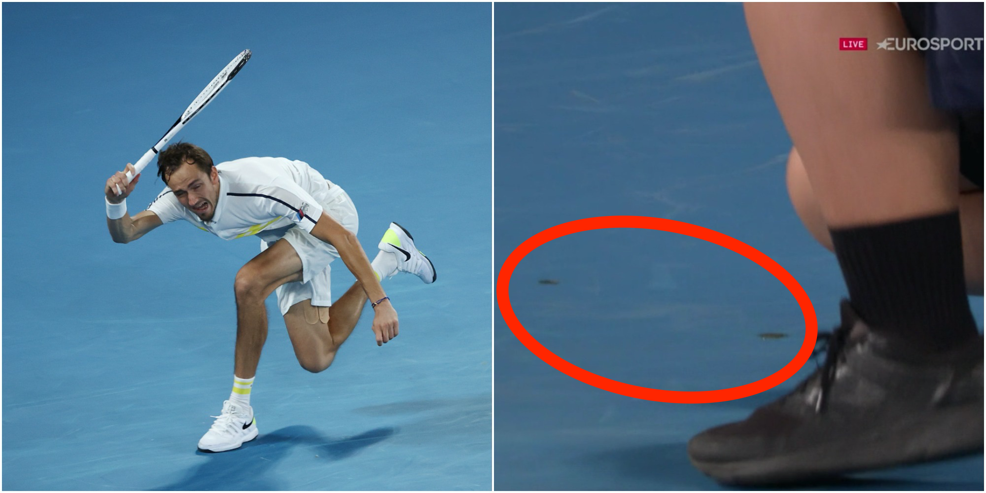 Bird poop briefly stopped play as Daniil Medvedev bludgeoned Stefanos Tsitsipas on his way to the Australian Open final