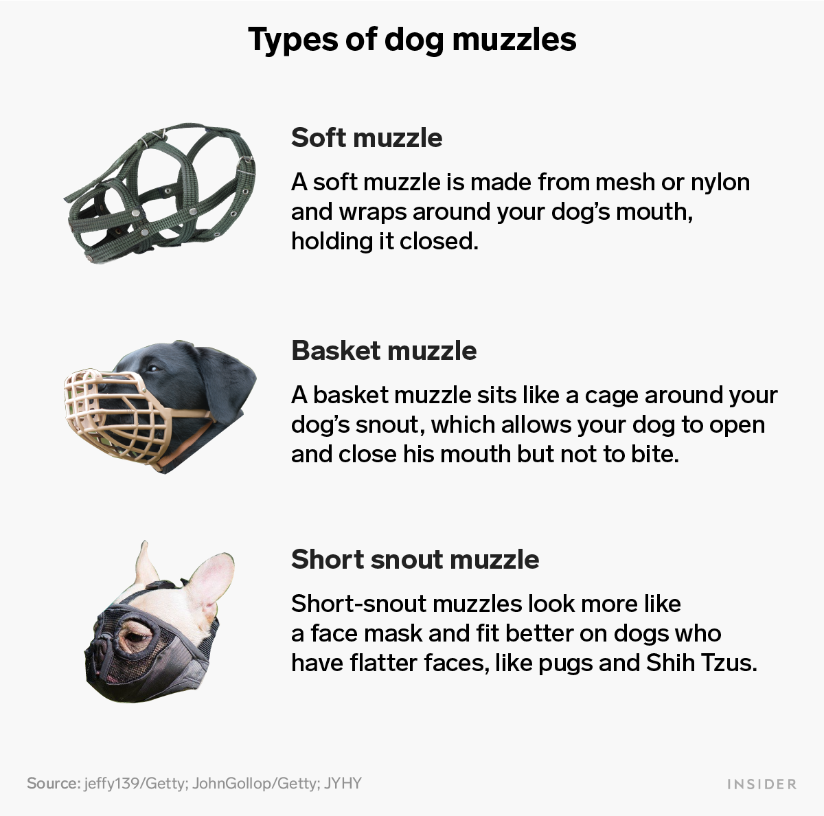 6 surprising benefits of dog muzzles and which type to pick for your pooch