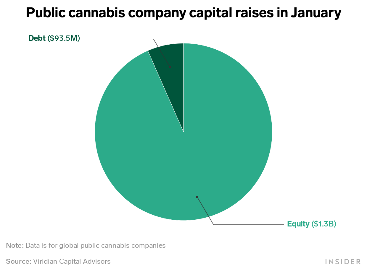 Public cannabis company capital raises in Jan 2021