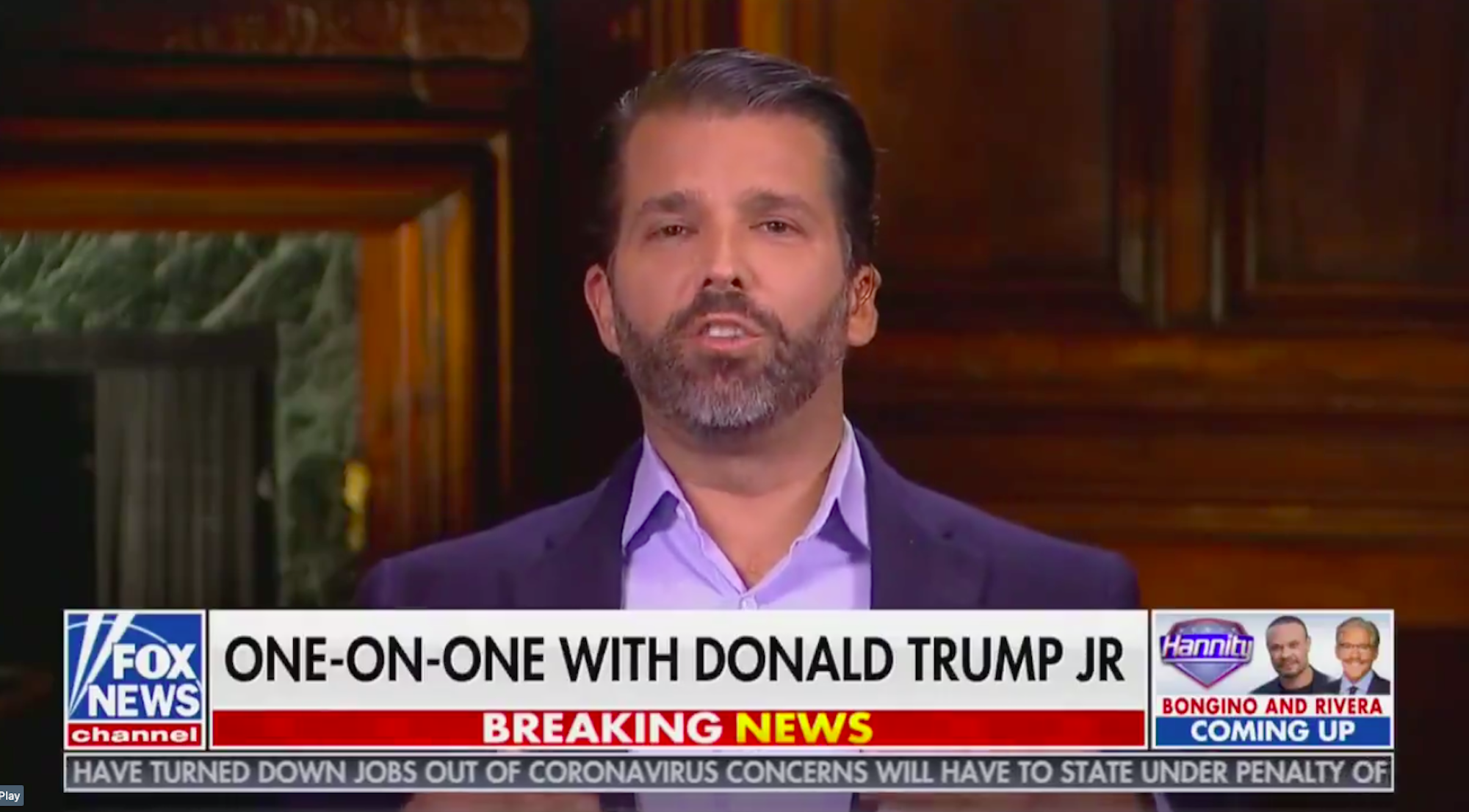 Donald Trump Jr. Fox News