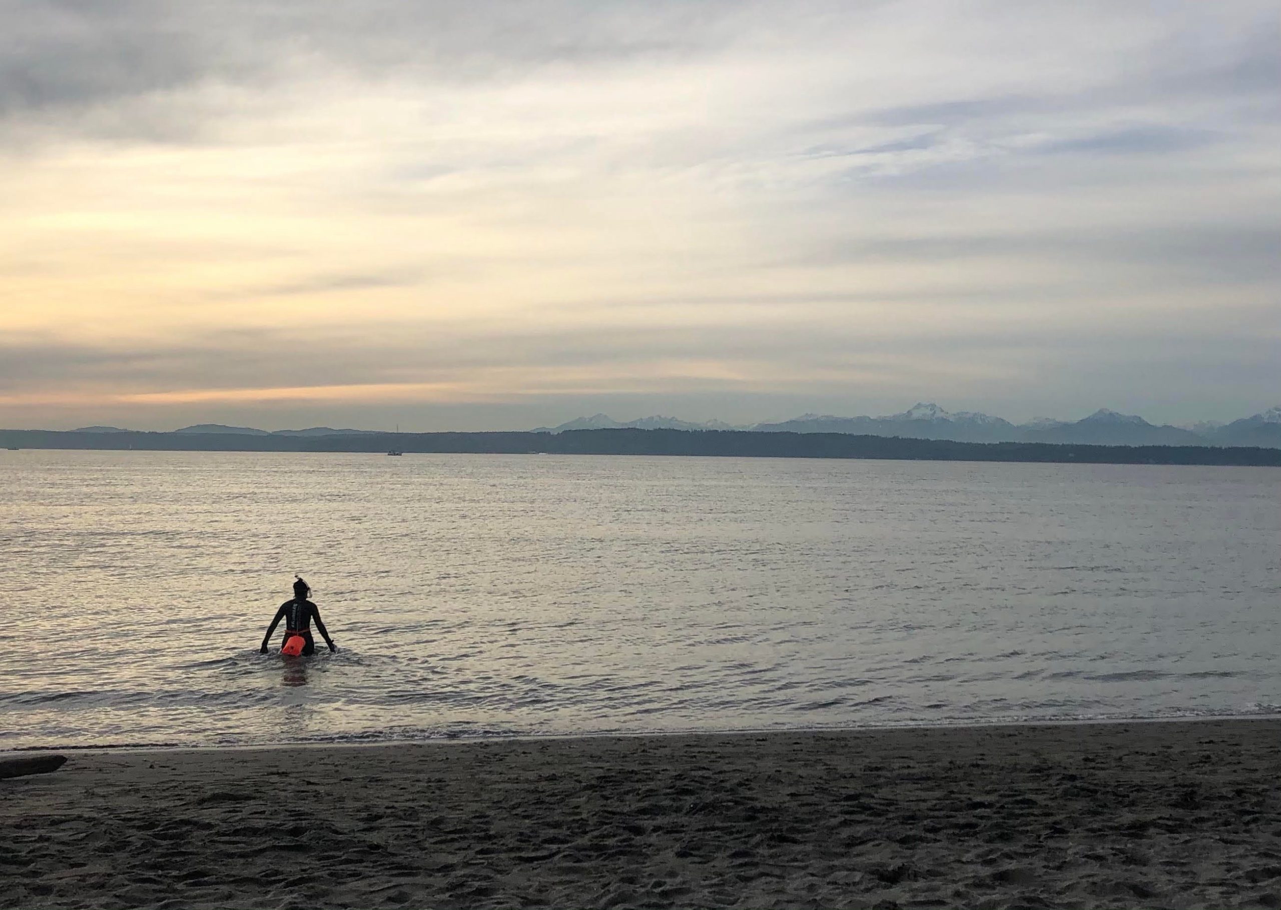 Gail McCallen open water swimming