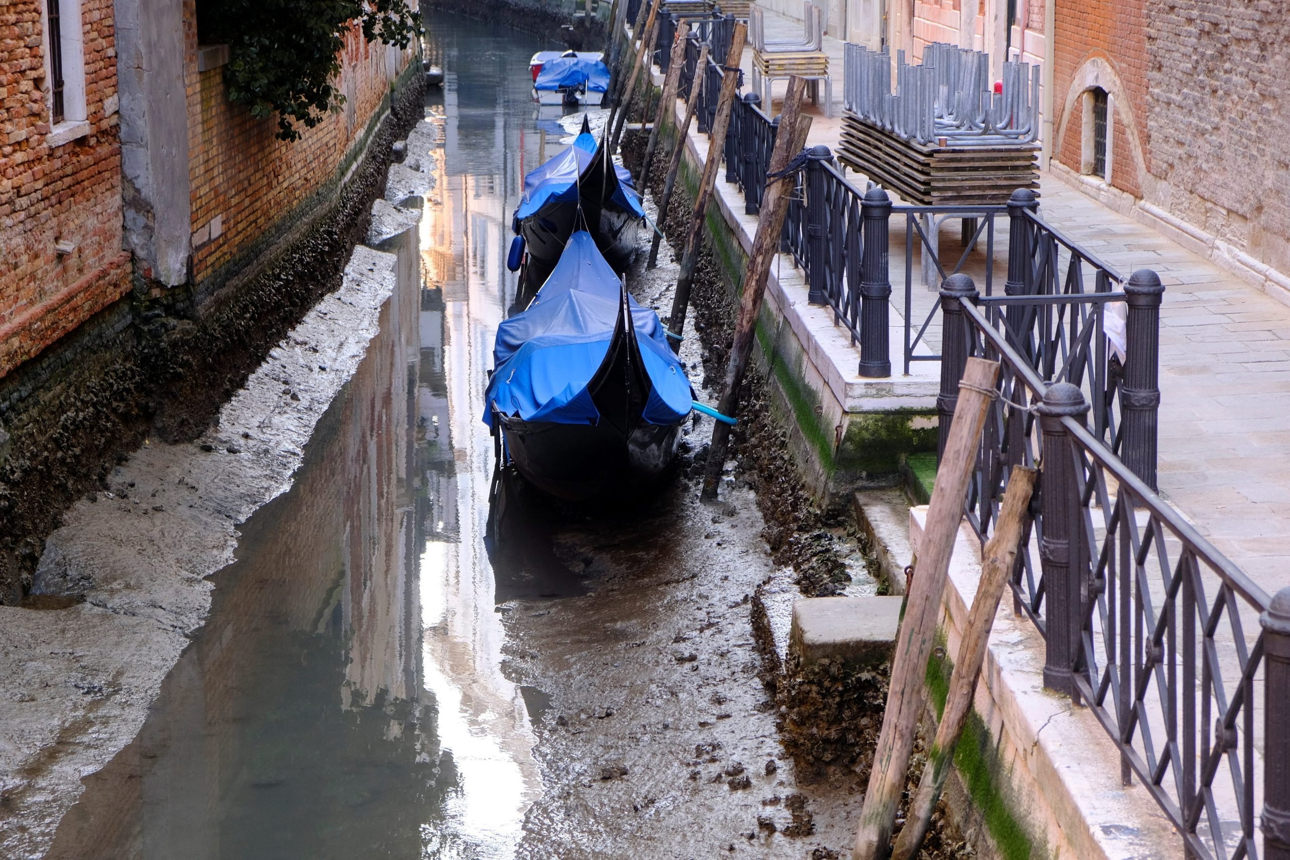 Venice Low Tide