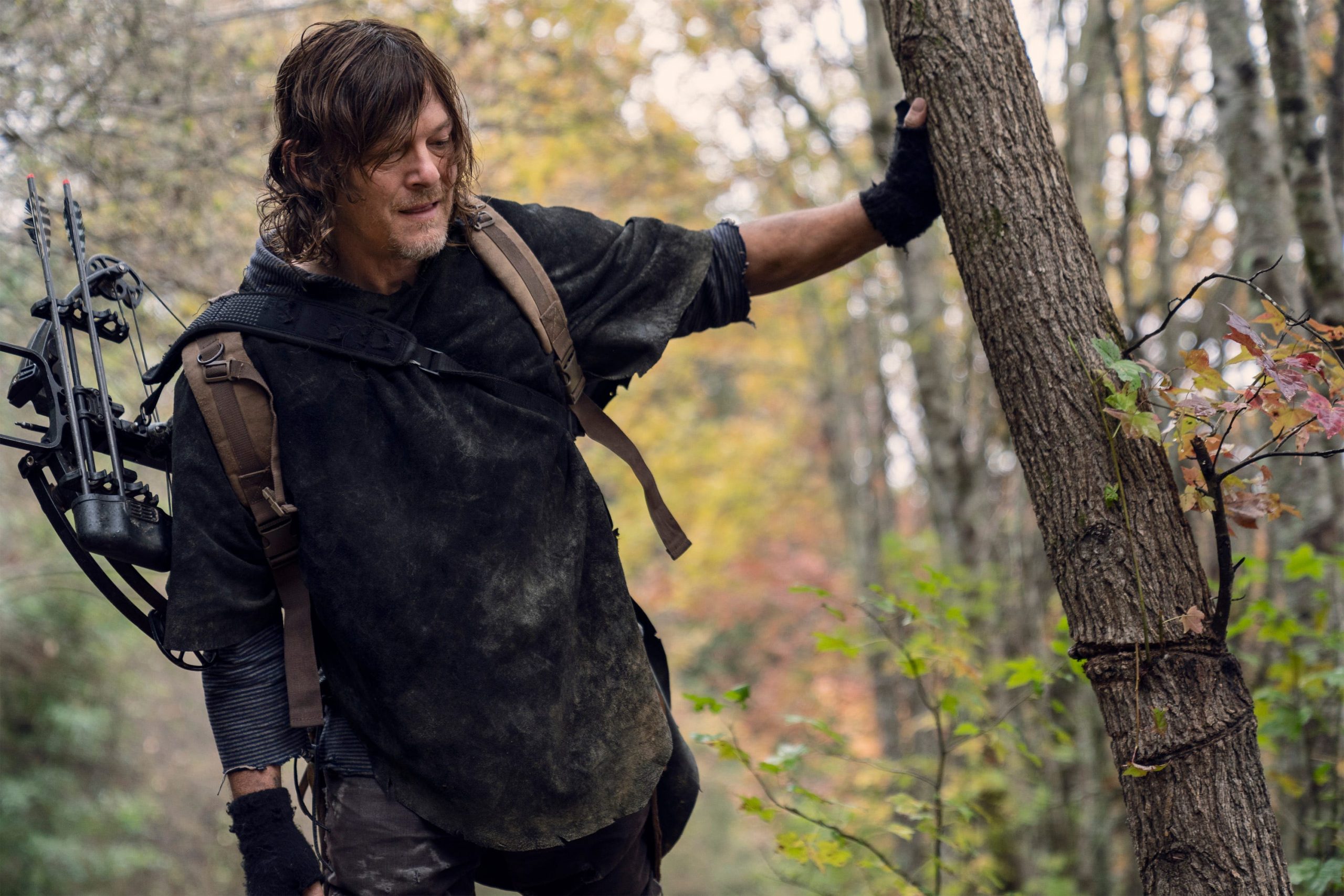 twd 1018 daryl woods