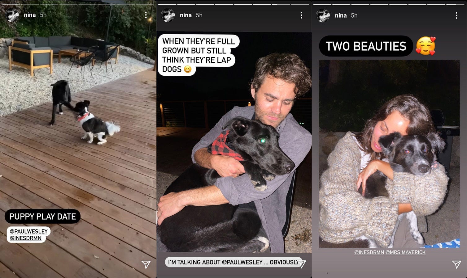 paul wesley nina dobrev puppy playdate september 2020