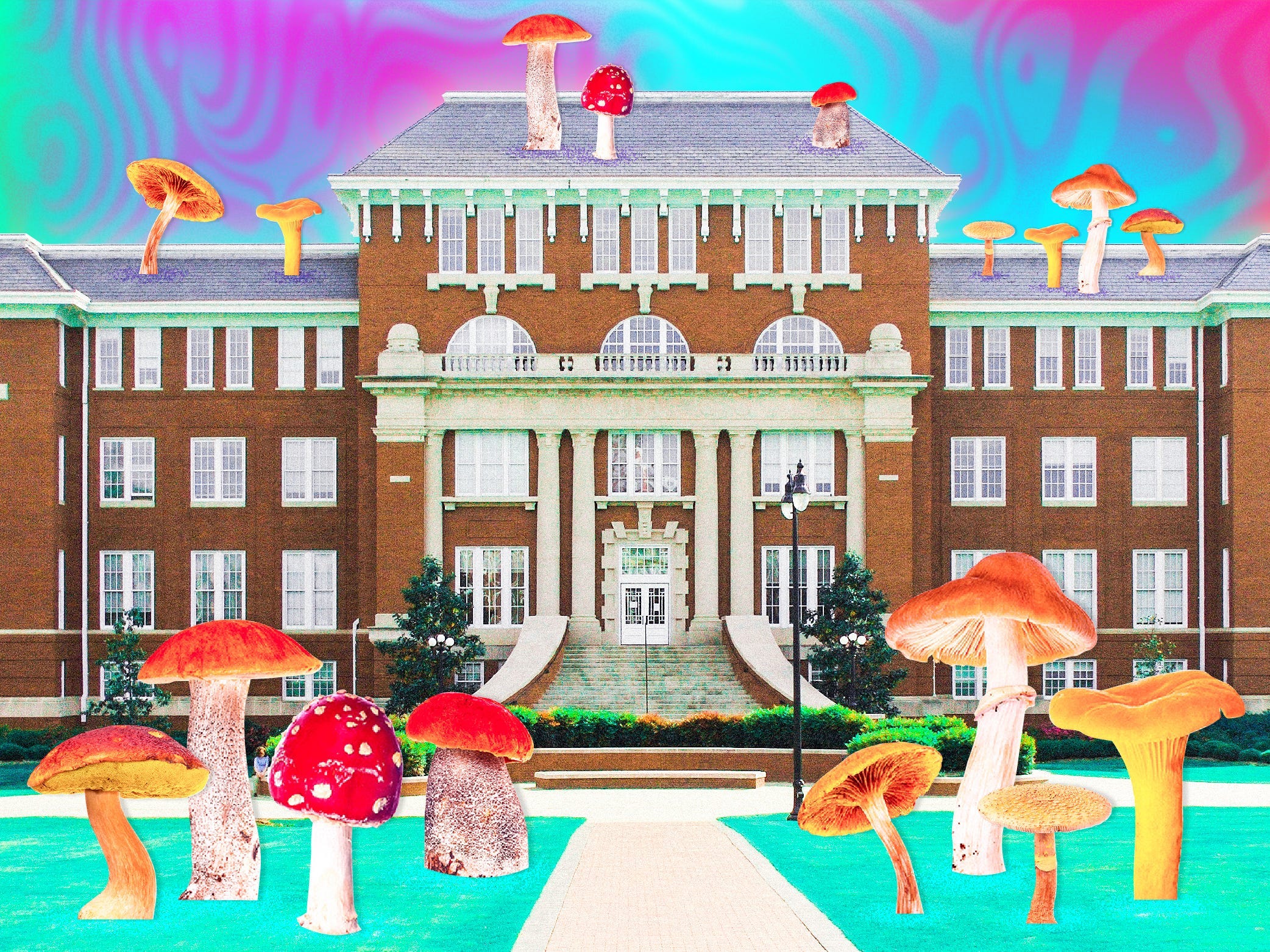 prestigious US universities psychedelic studies 4x3